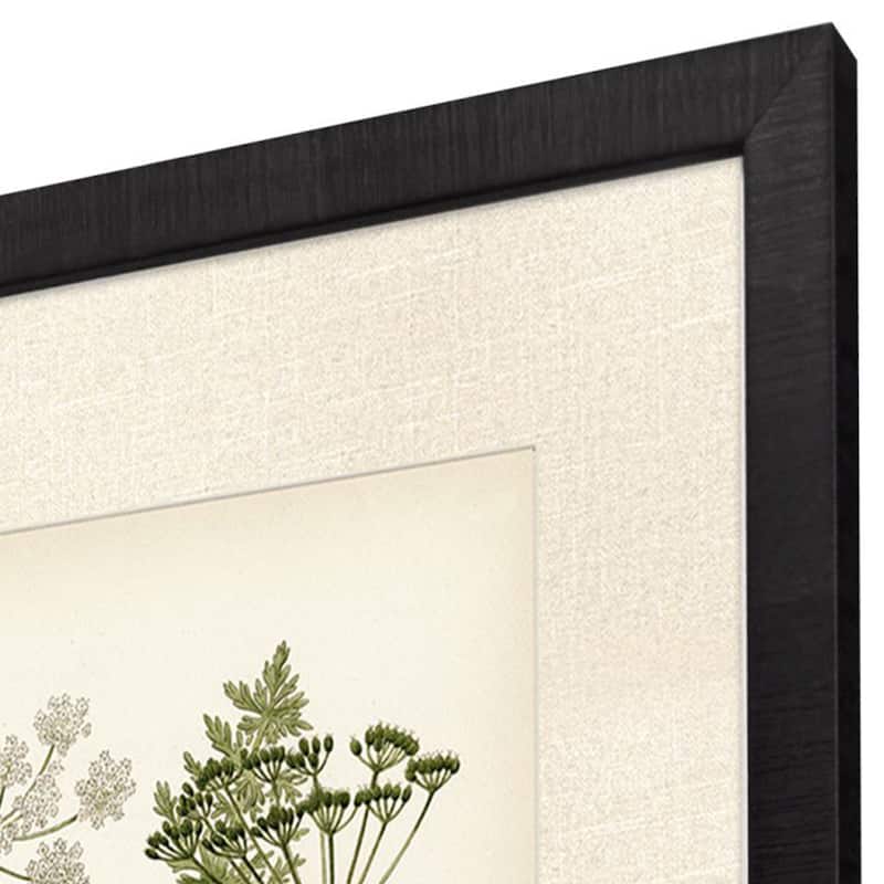 Paragon Queen's Lace II Framed Art - Set of 2