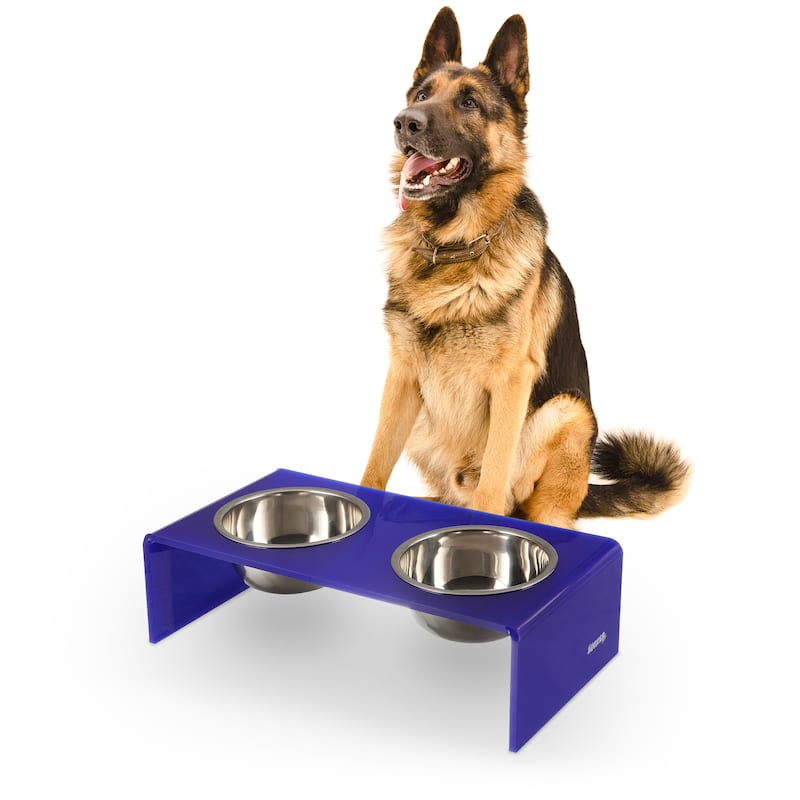 Keaton 7.5" Medium/Large Modern Lucite Rectangular Elevated Pet Feeder with 54oz 2-Stainless Steel Bowls - Purple/Chrome
