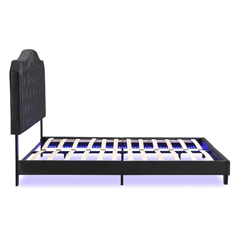 Queen Size Upholstered Platform Bed with LED Lights and Black Velvet