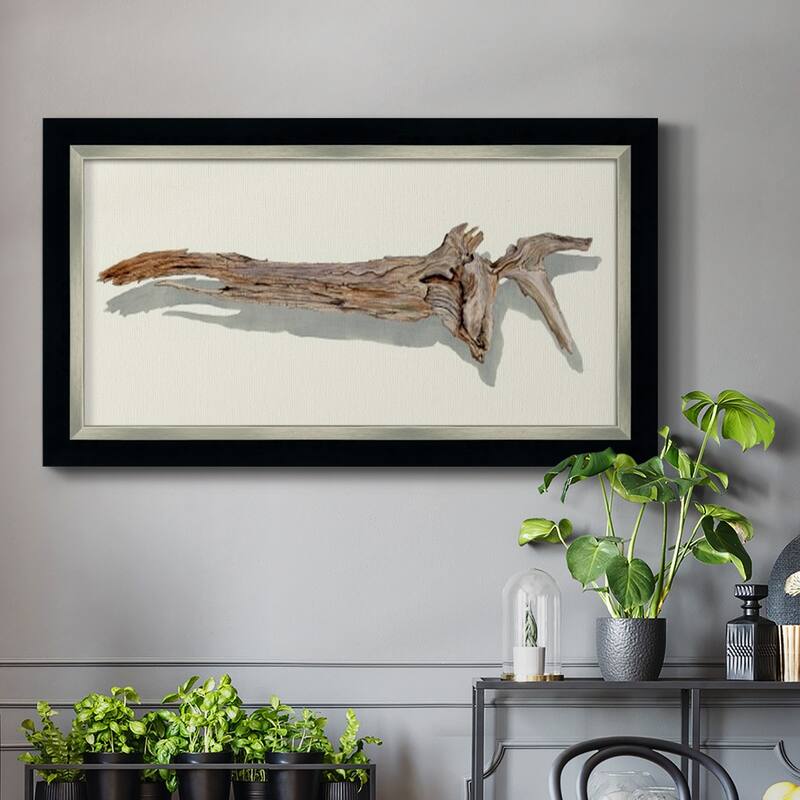 Driftwood Study II Premium Framed Canvas- Ready to Hang