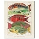 Oliver Gal 'Great Barrier Reef Fishes' Animals Red Wall Art Canvas ...