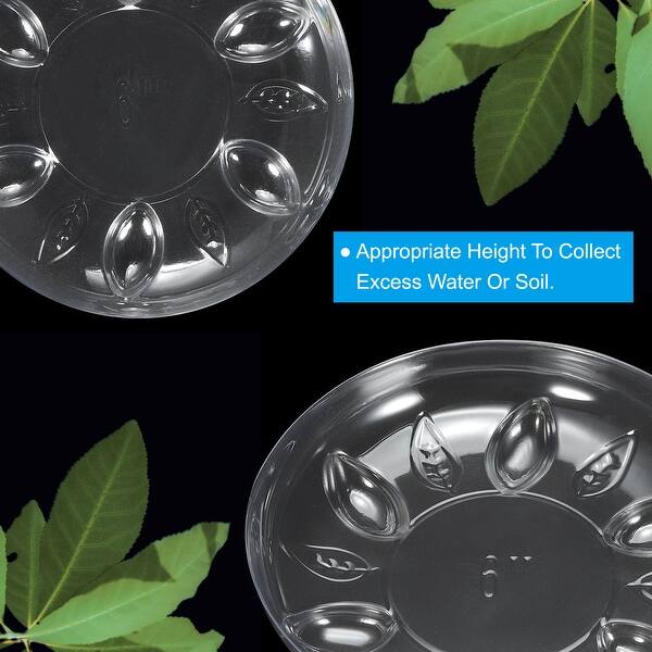 betta fish plants Betta Plant Pack – PNW Bettas main image 0