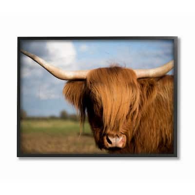 Stupell Cow in Pasture Animal Landscape Photo Framed Giclee Art Design By Villager Jim