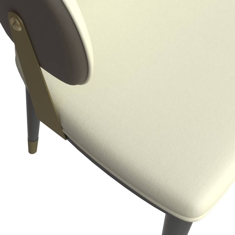 Leather Dining Chair in Iron Set of 2 with Gold Accents Design Modern Ergonomic Side Arm Chair