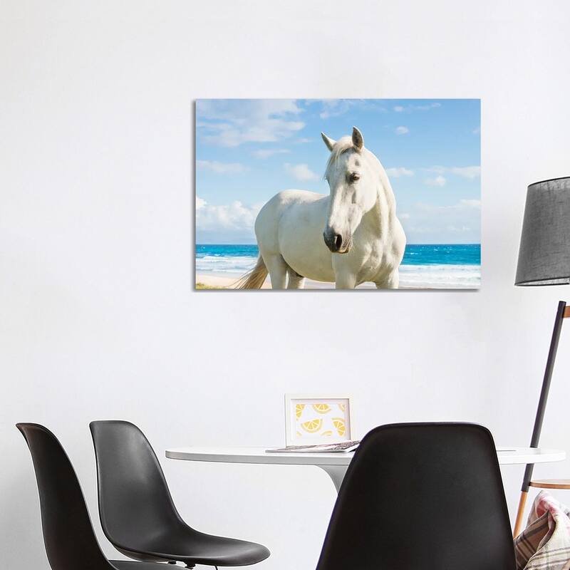 iCanvas "Beach Horse" by Andrew Lever Canvas Print - 26x40x1.5