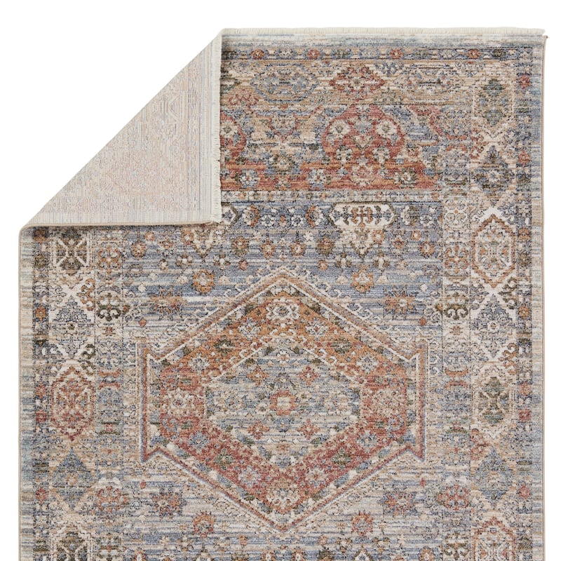Louisa Medallion Red/ Blue Area Rug