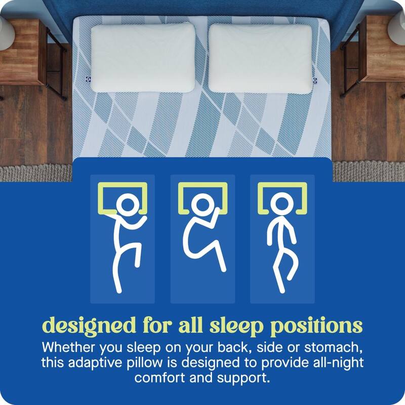 Sealy Dreamlife Performance Foam Pillow, Standard