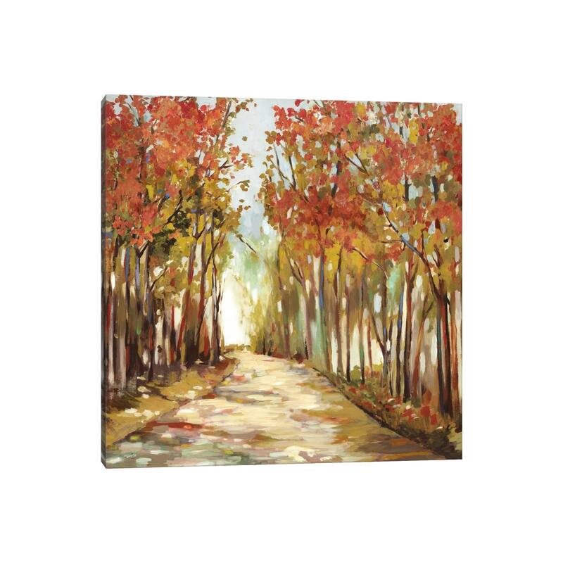 iCanvas "Sunny Path" by Allison Pearce Canvas Print
