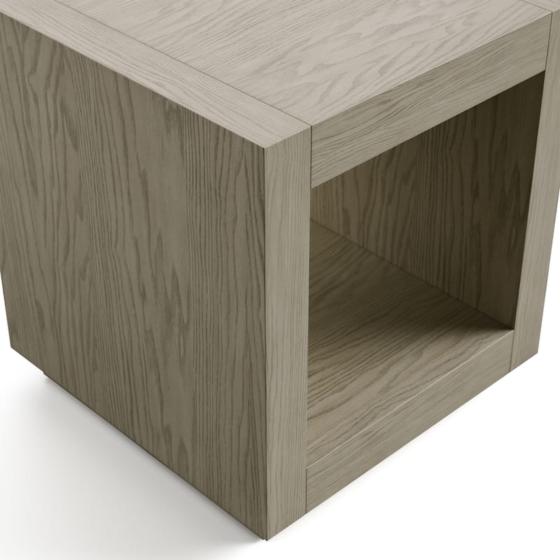 Furniture of America Gryel Modern 20-inch 1-Shelf Square End Table