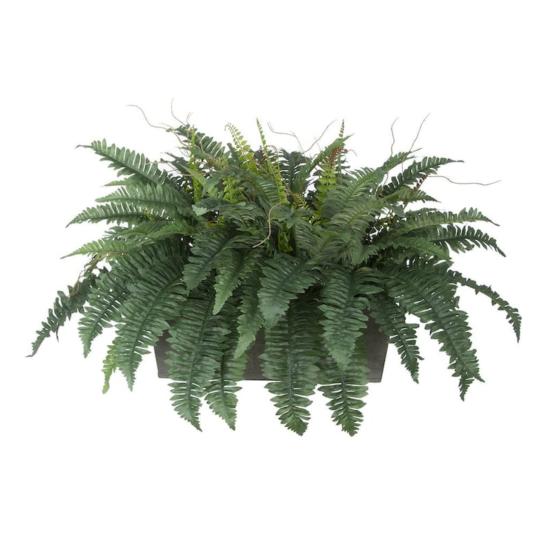 Faux Fern in Washed Wood Ledge Planter - Gray