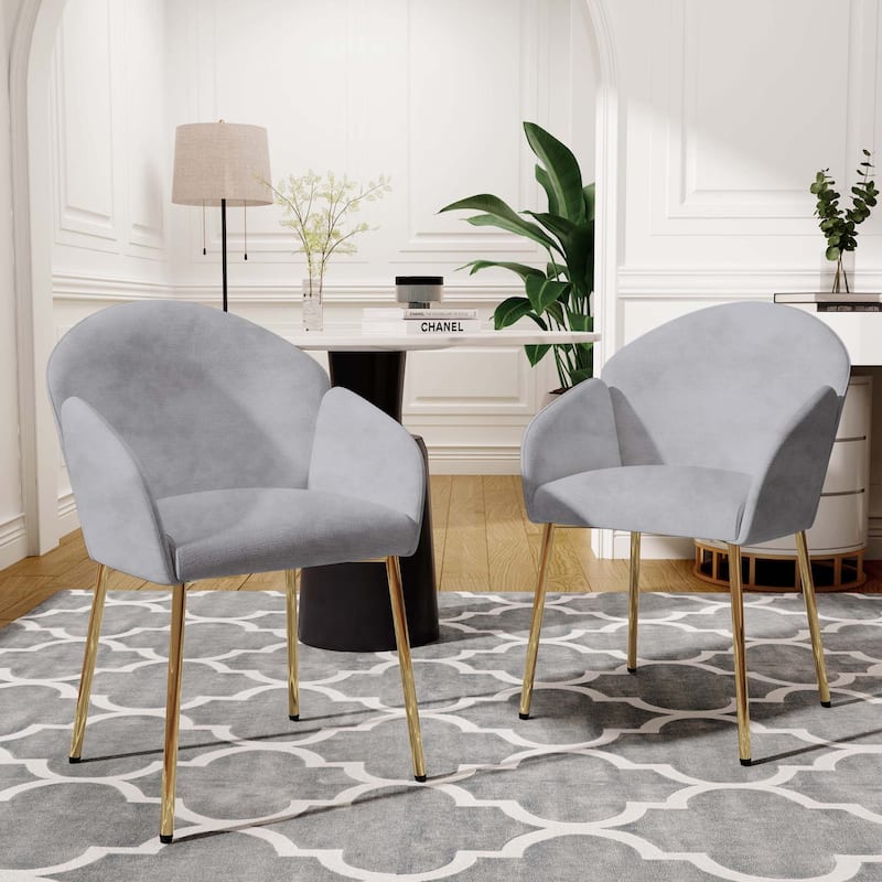 Dining Chair (Set of 2) - Grey