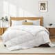 Option White