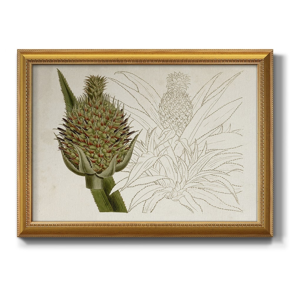 Tropical Foliage & Fruit VI Premium Framed Canvas- Ready to Hang