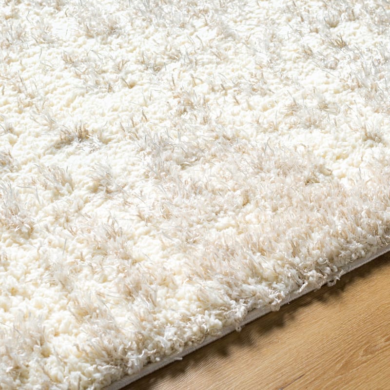 Joan Shag Area Rug