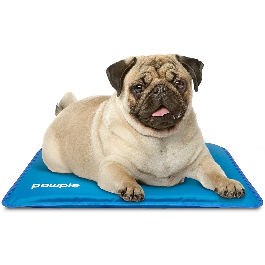 Cooling mat for dogs bed bath and beyond hot sale