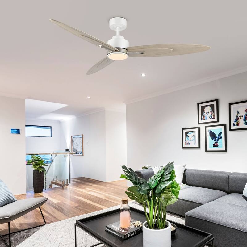 WINGBO 60-in 3-Blades Indoor Ceiling Fan with LED Light & Remote - White and Grey