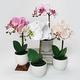 preview thumbnail 1 of 20, Artificial Phalaenopsis Orchid Flower Arrangement in White Pot 13in