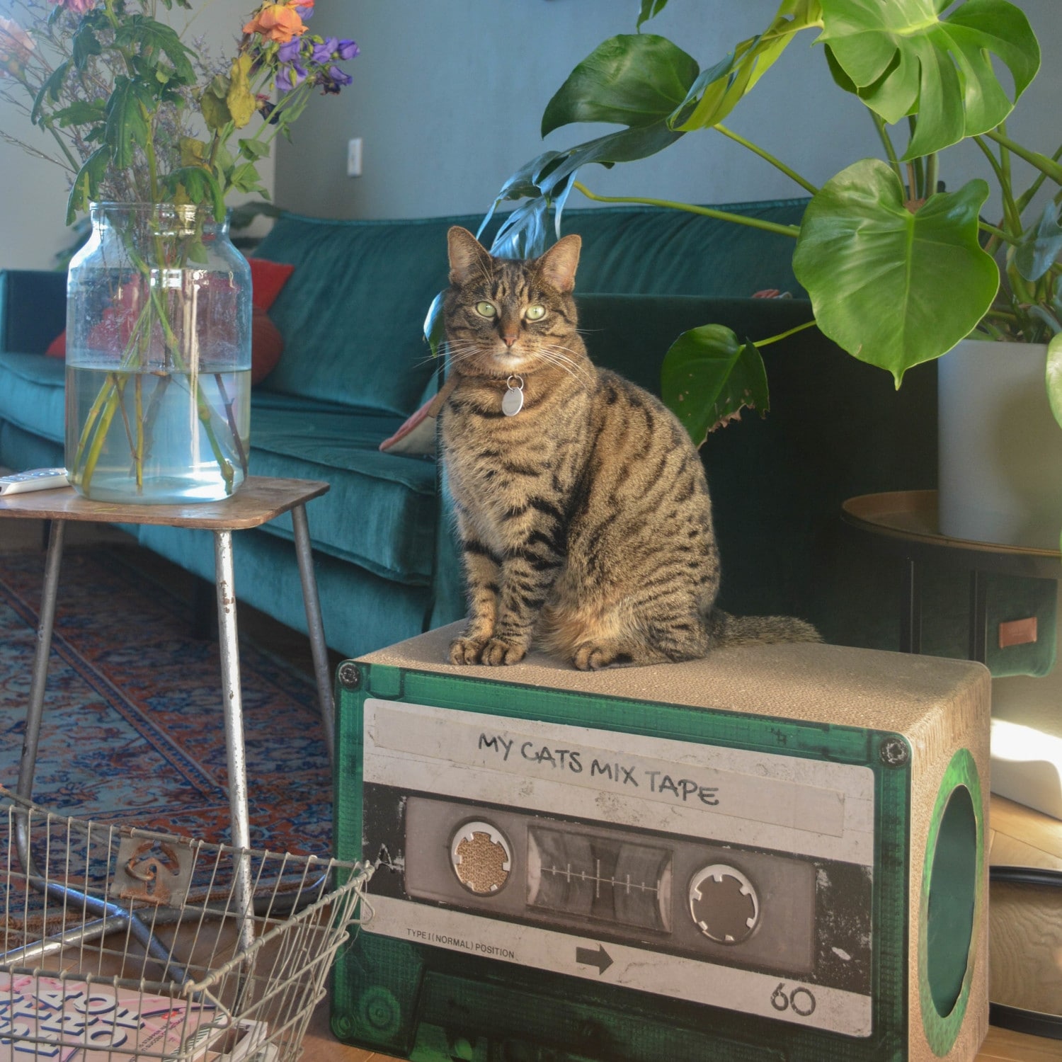 Shop District 70 Mix Tape Cardboard Cat Scratcher Overstock