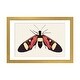preview thumbnail 4 of 18, iCanvas "Red Butterfly" by Ana Martinez Gold - 16x24x1