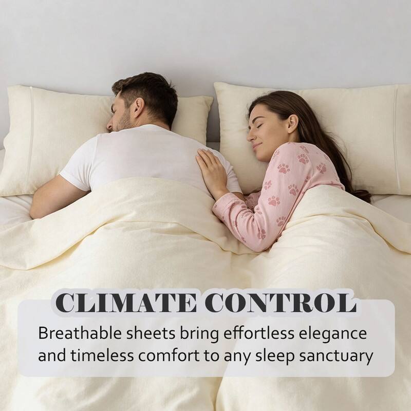 Superior Egyptian Cotton 650 TC Embroidered Pillow Cases, Set of 2