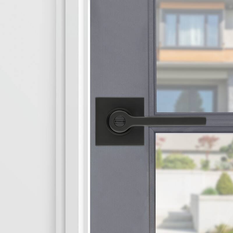 Baldwin Contemporary Left Handed Single Cylinder Keyed Entry Door