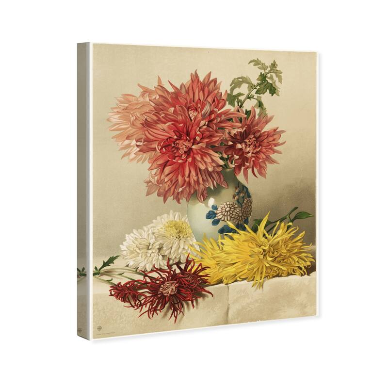 Wynwood Studio Canvas Floral and Botanical Chrysanthemums II White and Cream White Traditional Wall Art Canvas Print