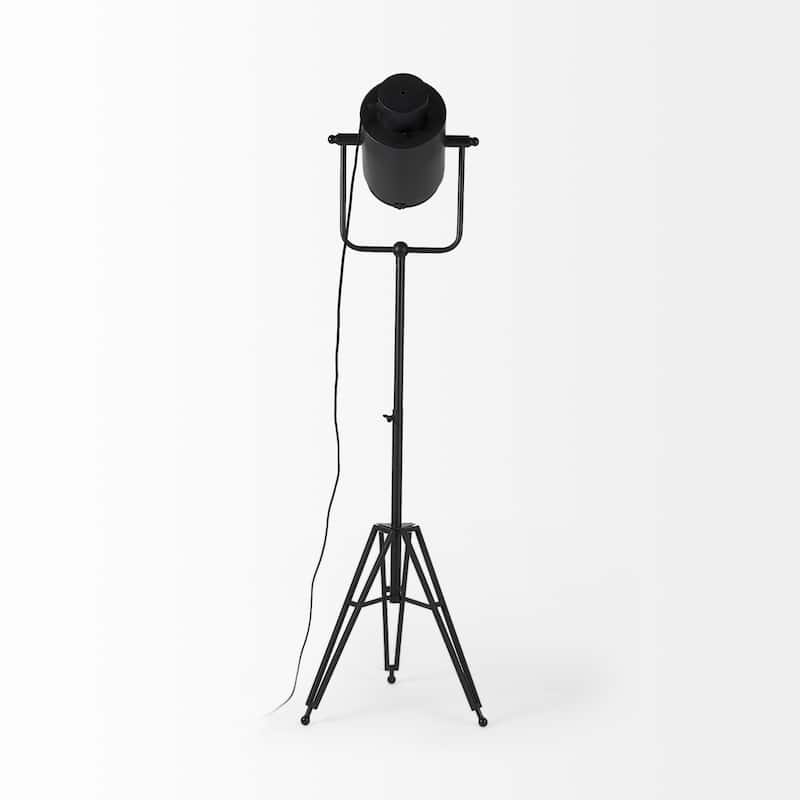 Debdou Gold Metal Adjustable Cinema-Style Floor Lamp