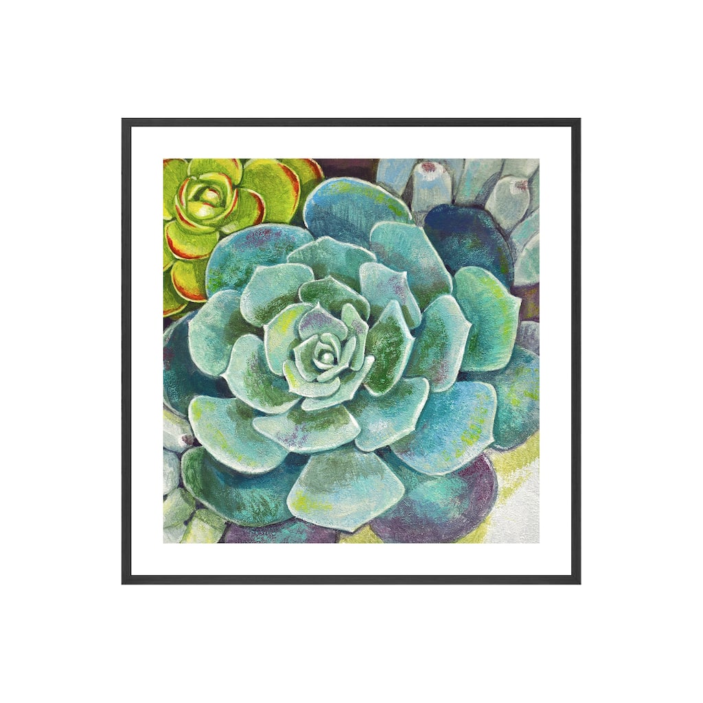 Brilliant Succulents II Framed Print Wall Art by Norman Wyatt Jr.