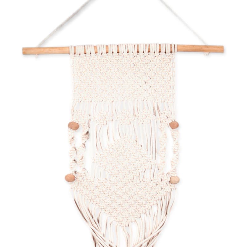 Novica Handmade Fire Threads Cotton Hanging Planter