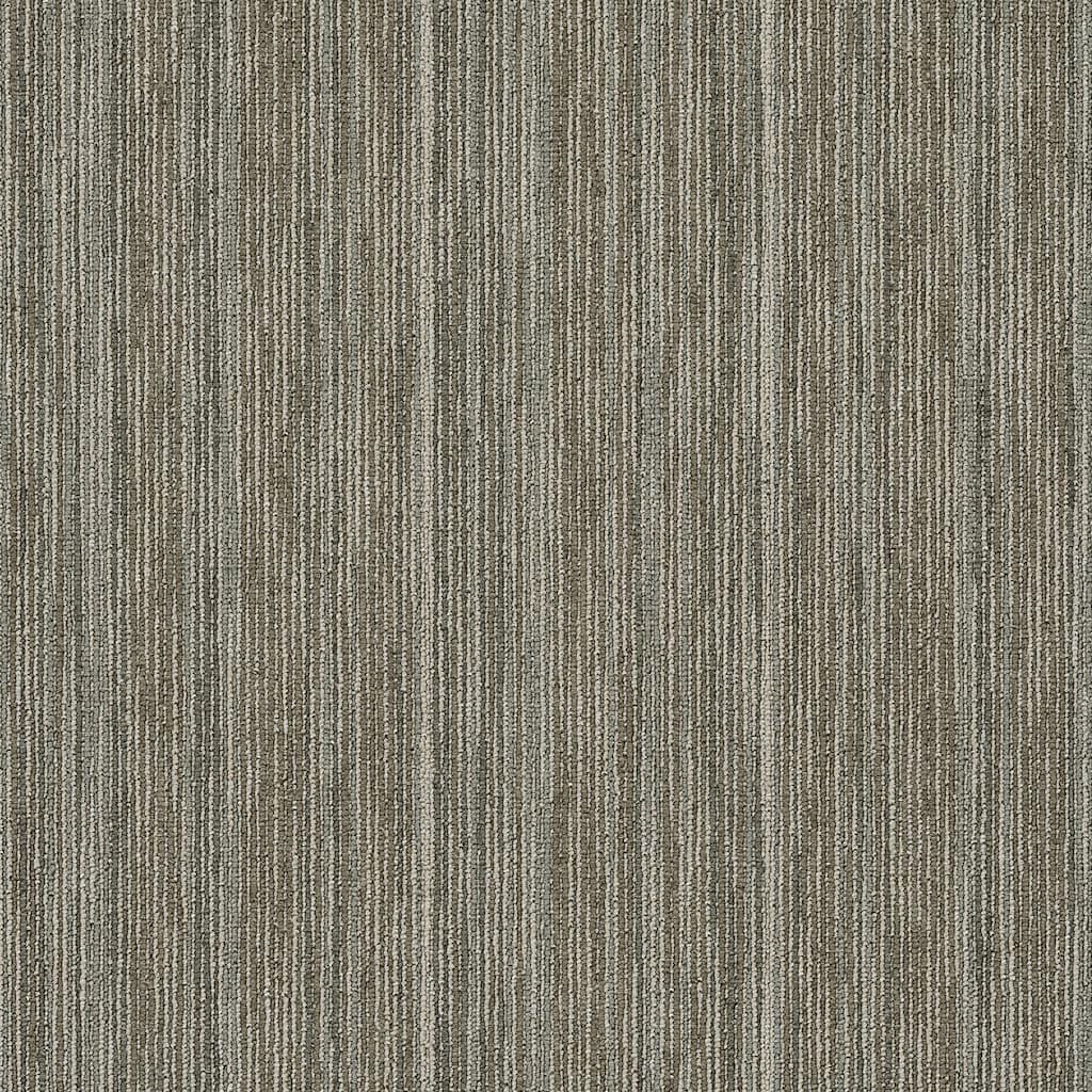 Shaw Philadelphia Commercial Intellect 24" x 24" Glue Down Carpet Tile