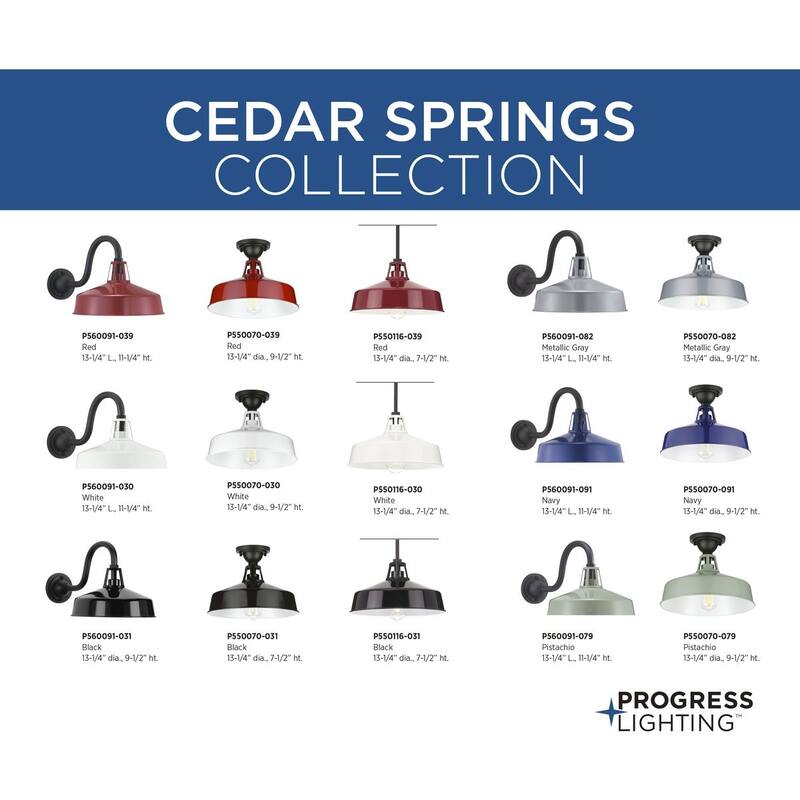 Cedar Springs 1-Light Pistachio Farmhouse Outdoor Wall Lantern Light