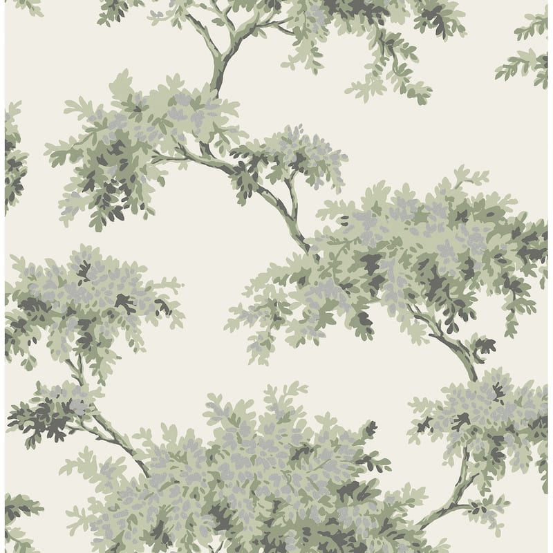 Brewster Ashdown Sage Tree Wallpaper