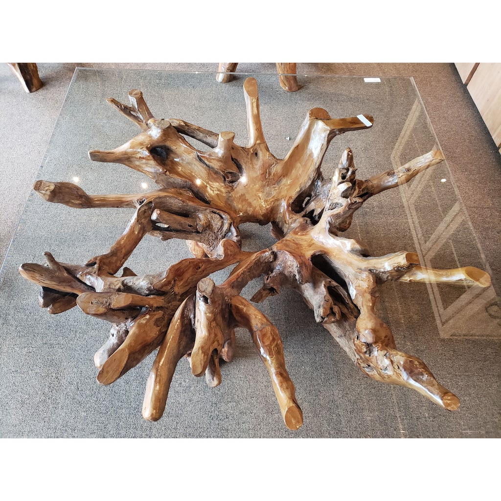 Teak Wood Root Coffee Table Including 55 inch Square Glass Top