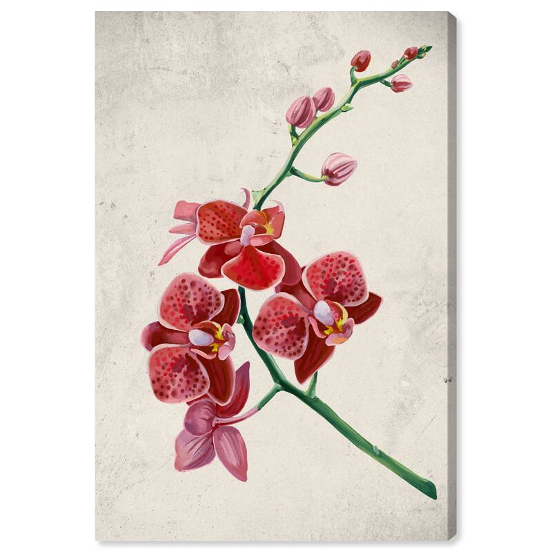 Wynwood Studio Canvas Floral and Botanical Blossoming Branch Red and Cream White Traditional Wall Art Canvas Print - Red, White