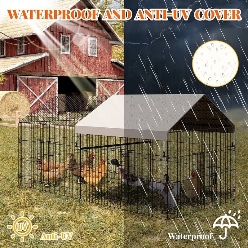 Large Walk-in Metal Chicken Coop