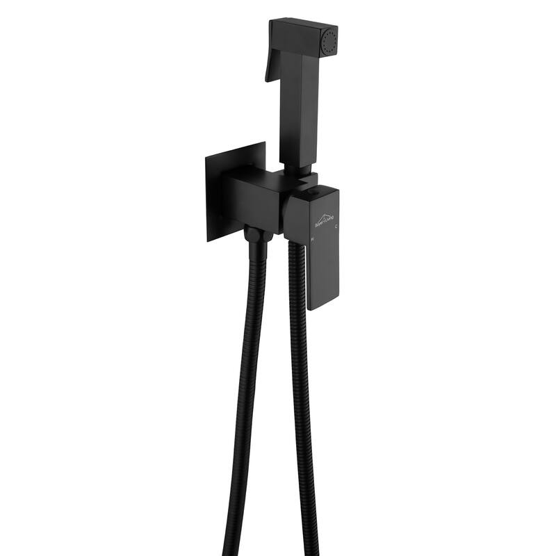 Wall Mount Single-Handle Bidet Faucet with Handle