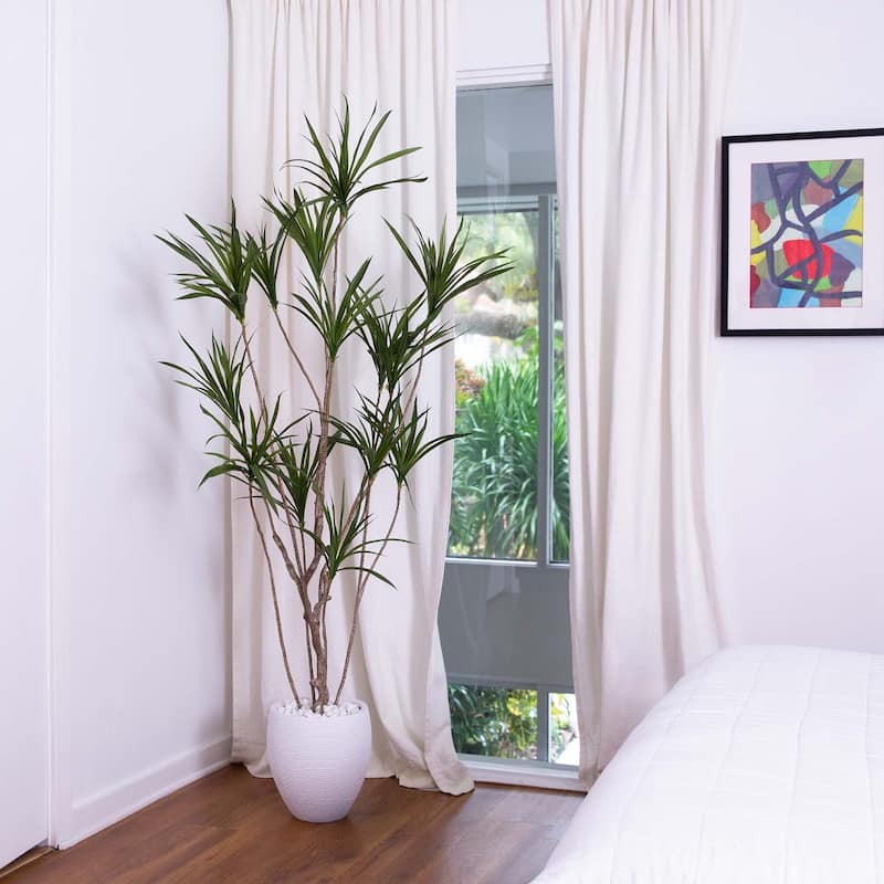 Artificial Dracaena Potted Tree - 6' - Green