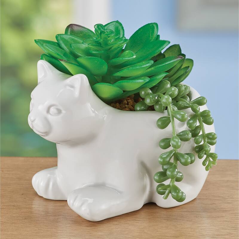 Fake Succulent Arrangement in White Ceramic Cat Pot - 5 x 5 x 4 - White - 5 x 5 x 4