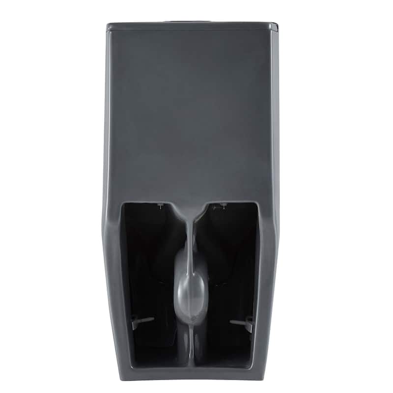 Fine Fixtures Dual-Flush Elongated One-Piece Toilet with High Efficiency Flush