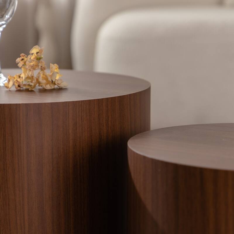 Simple Modern 2 Piece Coffee Table Set