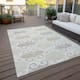 Option Ivory