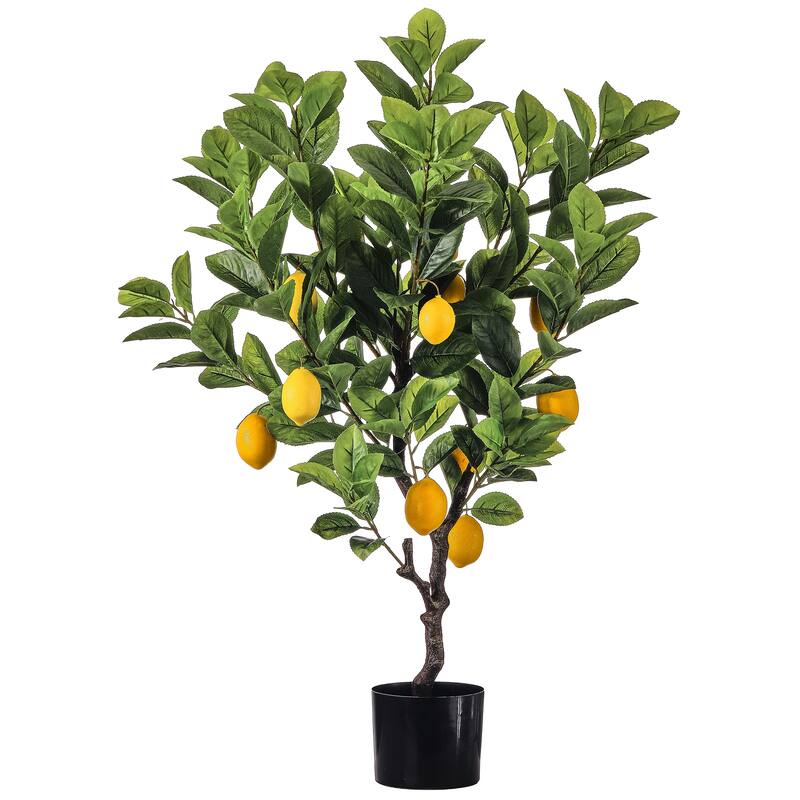 36" Potted Lemon Bush