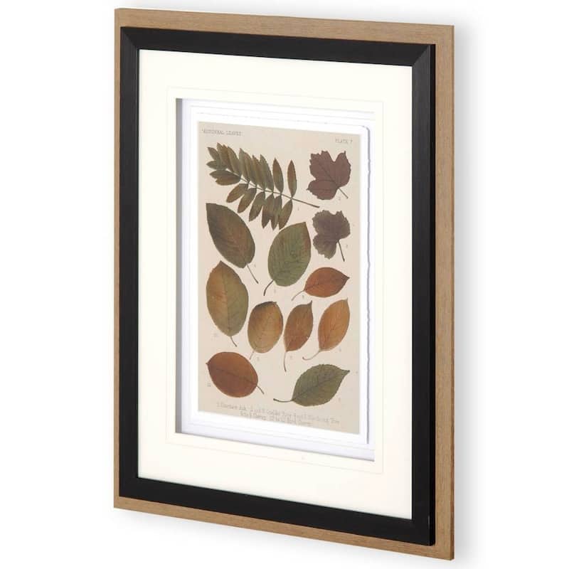 Autumnal Leaves II Framed Art Print
