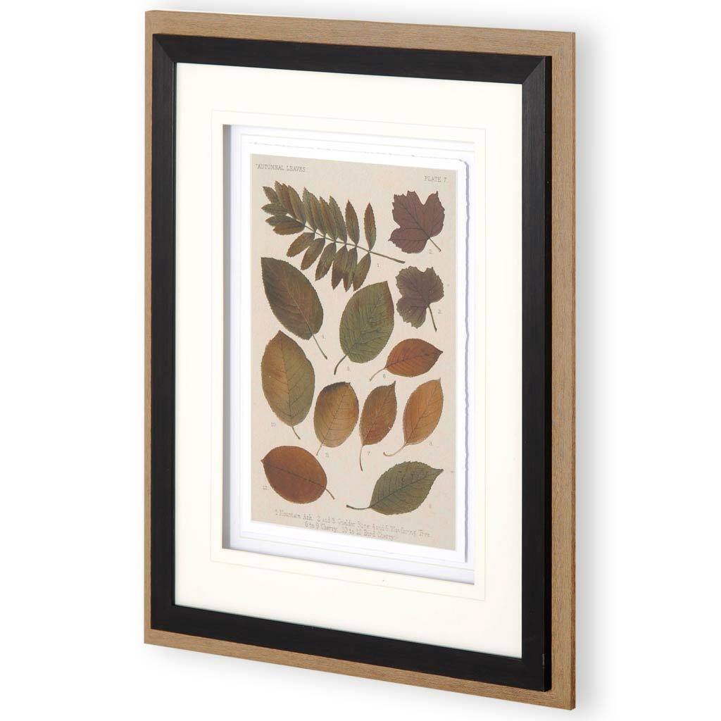 Autumnal Leaves II Framed Art Print