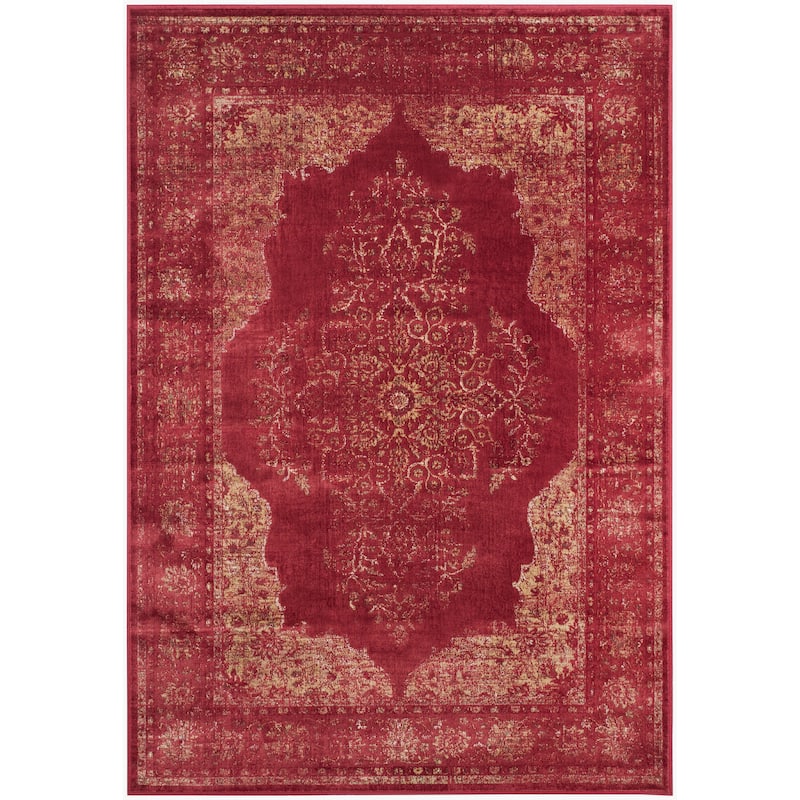 SAFAVIEH Vintage Berta Oriental Distressed Rug