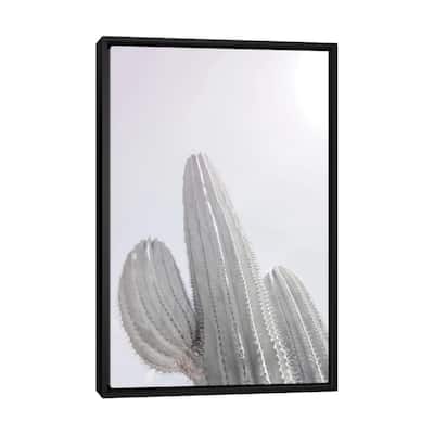 iCanvas "Saguaro" by Shot by Clint Framed