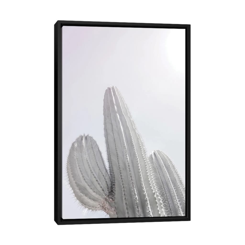 iCanvas "Saguaro" by Shot by Clint Framed