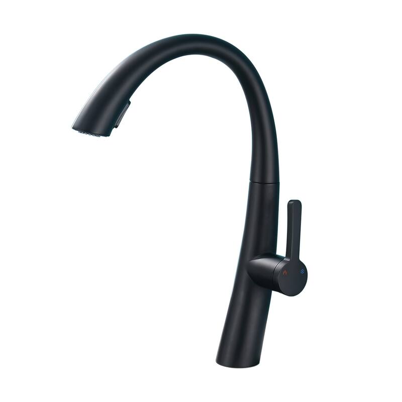 Topcraft Stainless Steel Single Handle Pull-Out Kitchen Faucet
