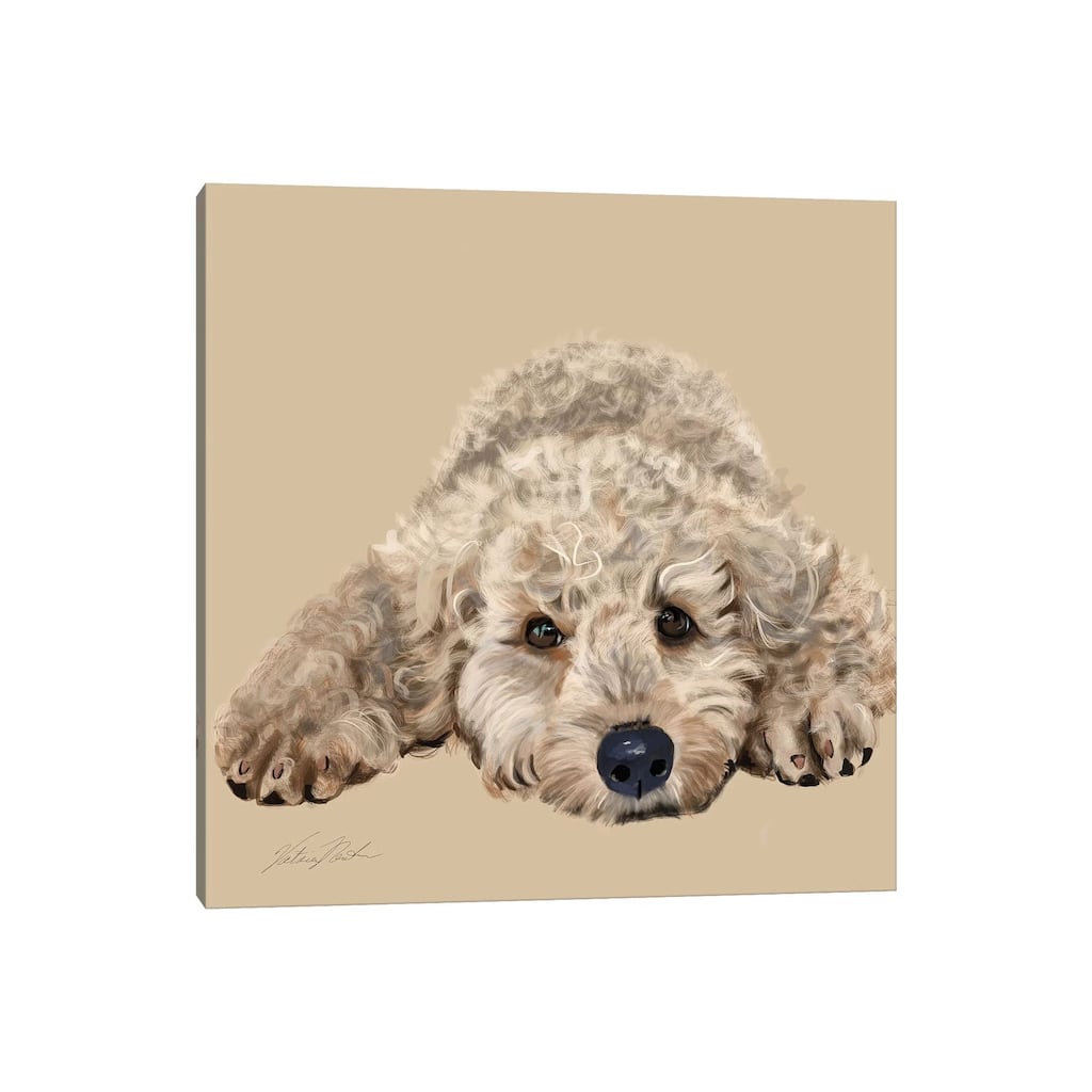 iCanvas "Labradoodle" by Vicki Newton Canvas Print