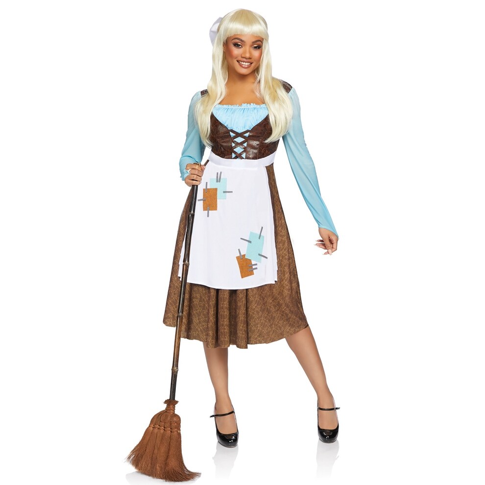 cinderella costume adult